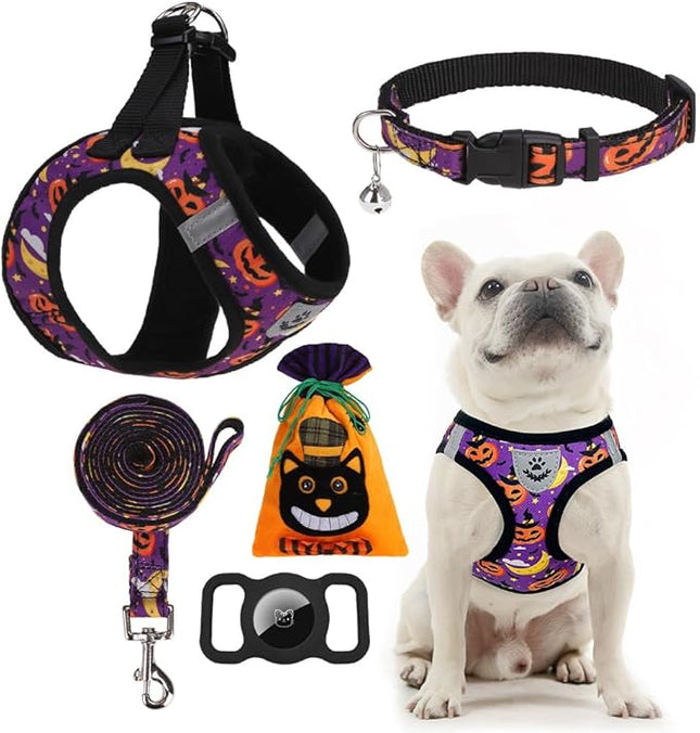 EXPAWLORER Halloween Puppy Harness - Dog Collar and Leash - Soft Mesh Padded Adjustable Step in Small Dog Vest Harness No Pull, Reflective Escape Proof for Outdoor Walking, Purple S