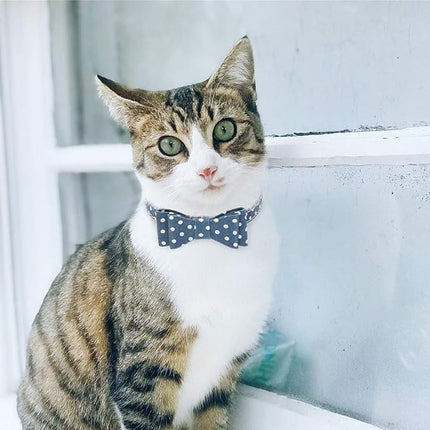 EXPAWLORER Dog Collar and Leash Set - Classic Plaid Dog Bow Tie and Dog Bandana Collar with Bell, Dog Leash Tangle Free, Adjustable Collars for Small Medium Large Dogs Cats, Holiday Ideal Gift