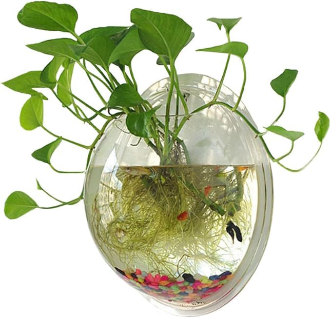 Hanging Wall Mounted 1 Gallon Fish Tank Bowl Aquarium Wall Decor Plant Fish Bubble - Clear (Large)