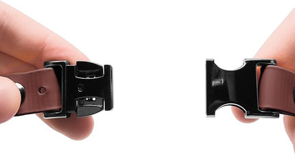 Educator Quick Snap Bungee Dog Collar, Biothane, Waterproof, Odorproof, Easy Connect and Disconnect Clasp and D Ring with Comfort Bungee Loop, Adjustable for Custom Fit, 3/4-Inch, Brown