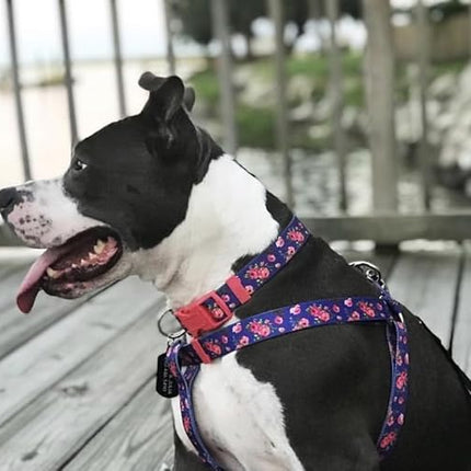 Blueberry Pet 7 Patterns Spring Scent Inspired Rose Print Irish Blue Adjustable Dog Collar, X-Small, Neck 8"-11"