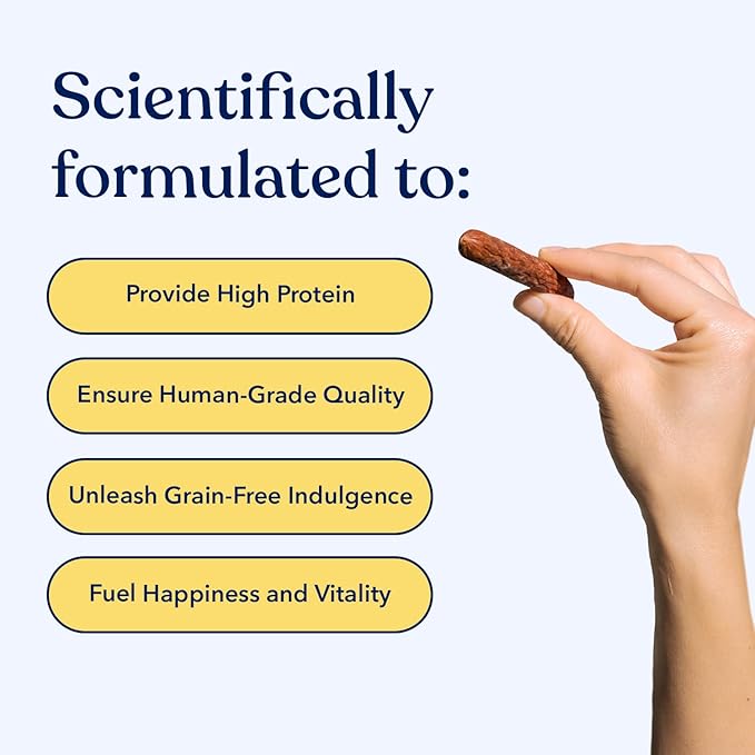 Honest Paws Dog Jerky Treats - All-Natural Jerky Dog Treats for Training Pets - Human Grade Sticks - Real USA Beef