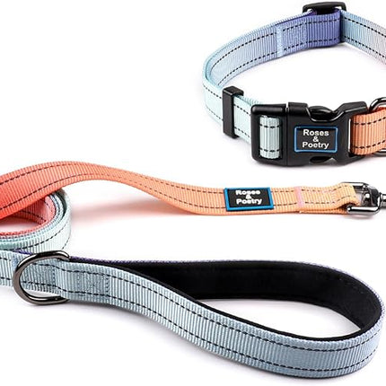 Roses&Poetry Blue Dog Collar and Leash for Medium Dogs, Reflective Dog Collars and Leashes, Buckle Adjustable Durable Pet Matching Leash with Collar for Girl and Boy Running, Walk（Azure-M