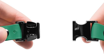 Educator Quick Snap Bungee Dog Collar, Biothane, Waterproof, Odorproof, Easy Connect and Disconnect Clasp and D Ring with Comfort Bungee Loop, Adjustable for Custom Fit, 3/4-Inch, Green