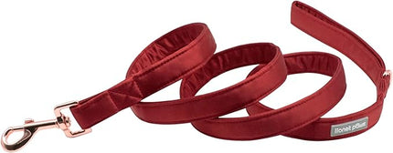 Lionet Paws Dog Leash - Silk Red Leash for Small Medium Large Dogs Matching Collar for Girl and Boy