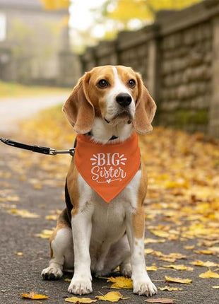 Big Sister Dog Bandana, Big Sister Bandana for Dog, Dog Pregnancy Announcement, Orange Dog Bandana, Big Sister Dog Shirt, Dog Bandana Pet Scarf, Dog Bandana for Small Medium Large Dogs (D28)
