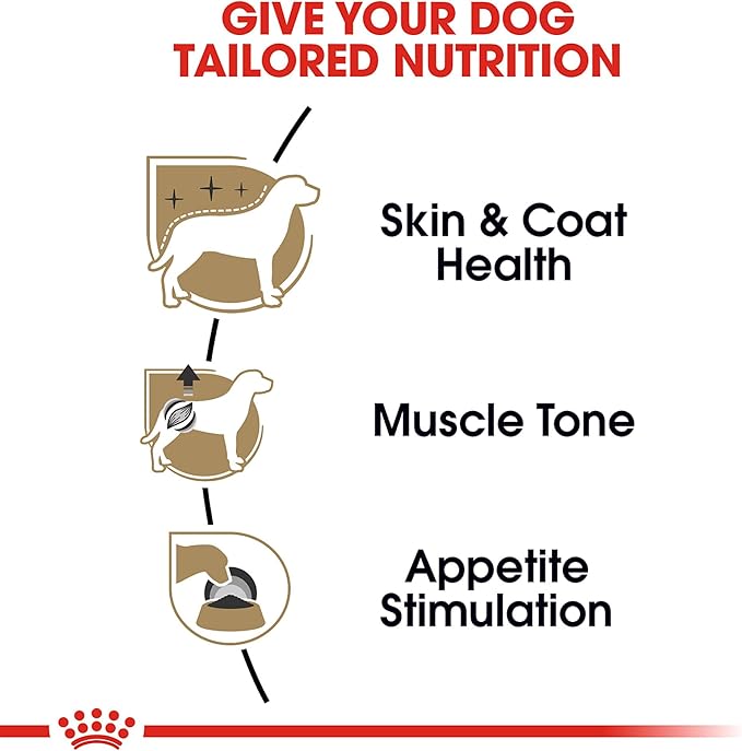 Royal Canin Breed Health Nutrition Poodle Adult Loaf in Sauce Dog Food, 3 oz (Pack of 24)