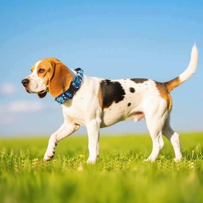 TSPRO Premium Dog Collars Tactical Dog Collar with Handle and Heavy Duty Quick-Release Metal Buckle Durable Thick and Adjustable for Medium to Large Dogs (Pink M)