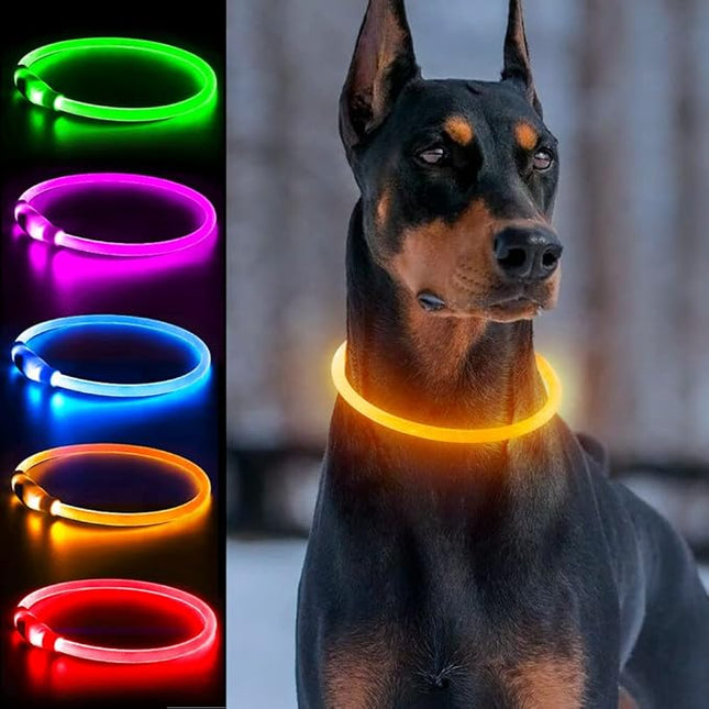 Light Up Dog Collar, Dlitk Rechargeable Cuttable LED Dog Collars, Pet Safety Light at Night Walking for Small Medium Large Dogs, Do Not Use Fast Charging (Orange)