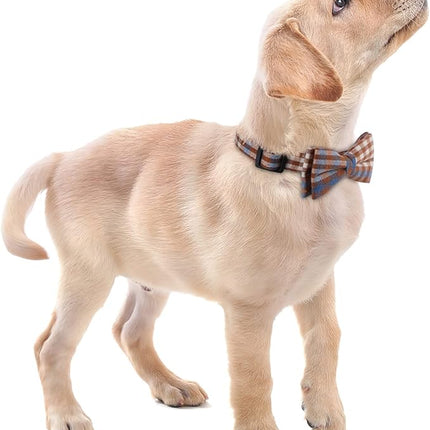 Faleela Soft &Comfy Bowtie Dog Collar,Detachable and Adjustable Bow Tie Collar,for Small Medium Large Pet (Small (Pack of 1), Blue and Whit)
