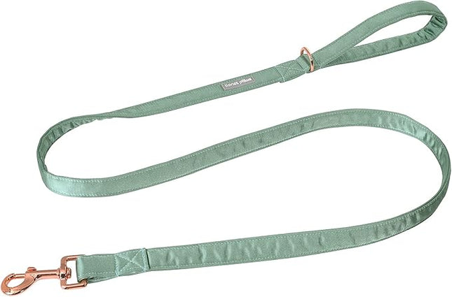 Lionet Paws Dog Leash - Silk Green Leash for Small Medium Large Dogs Matching Collar for Girl and Boy
