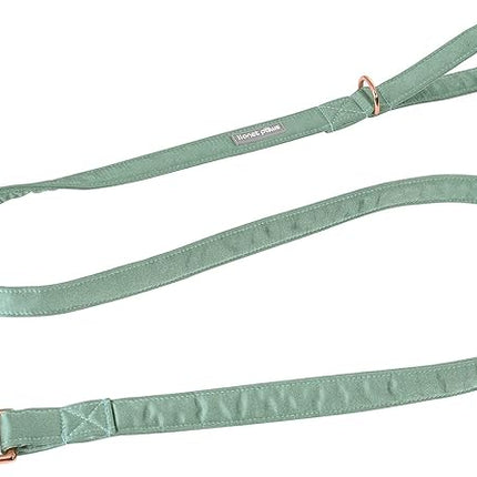 Lionet Paws Dog Leash - Silk Green Leash for Small Medium Large Dogs Matching Collar for Girl and Boy