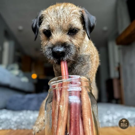 Bully Bunches Premium 6 Inch Thick Odor-Free Bully Sticks for Small & Medium Dogs - Long Lasting Chews for Oral Care- All Natural & Single Ingredient, 100% Beef Dog Treat, Rawhide Free (20 Pk)