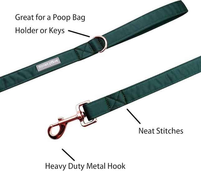 Lionet Paws Dog Leash - Silk Green Leash for Small Medium Large Dogs Matching Collar for Girl and Boy