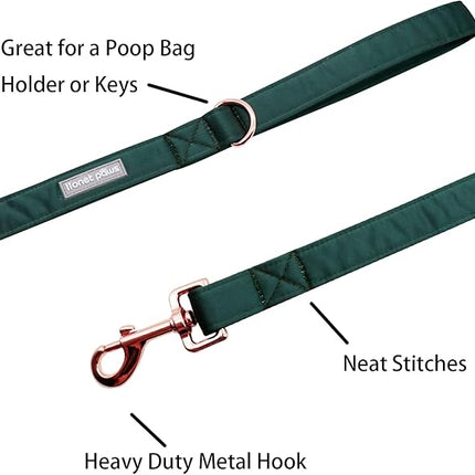 Lionet Paws Dog Leash - Silk Green Leash for Small Medium Large Dogs Matching Collar for Girl and Boy