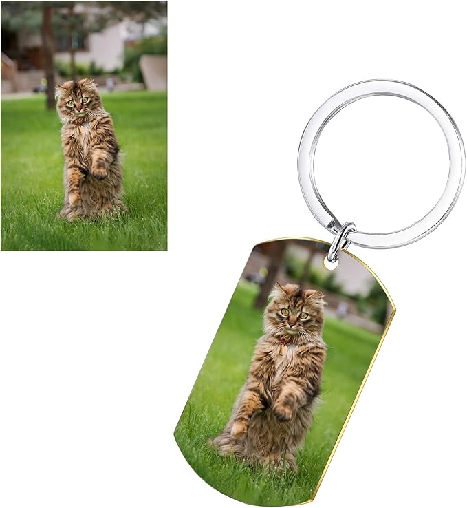 Funnylife Personalized Pet Memorial Keychain for Cats Stainless Steel Custom Cat Photo Keychain Pet Memory Keepsake Loss of Cat Sympathy Gifts