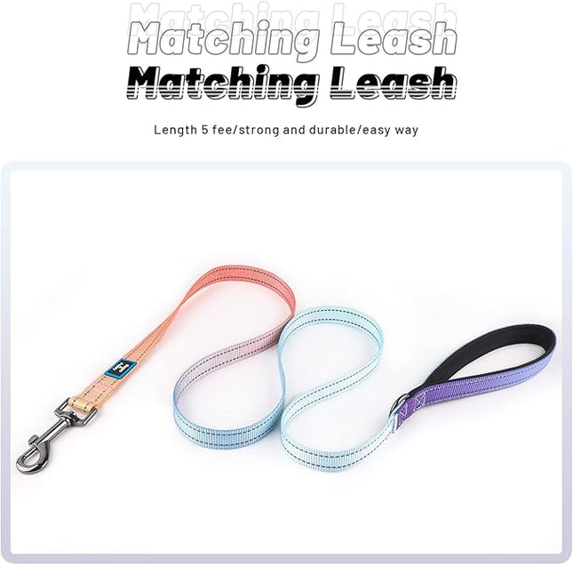 Roses&Poetry Blue Dog Collar and Leash for Medium Dogs, Reflective Dog Collars and Leashes, Buckle Adjustable Durable Pet Matching Leash with Collar for Girl and Boy Running, Walk（Azure-M