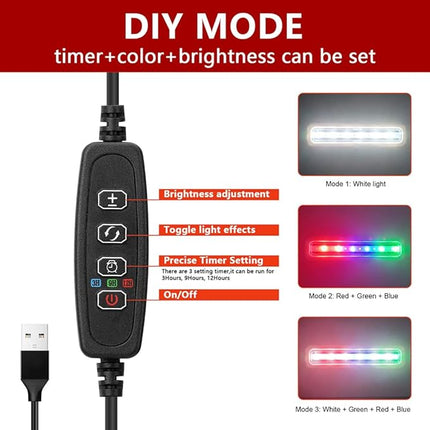 Betta Fish Tank, 2 Gallon Glass Aquarium Starter Kit, Small Fish Tank with Filter and Light.(White)