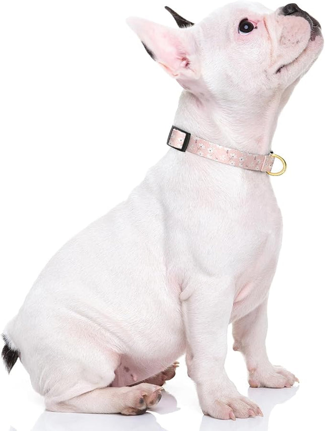 Rnivvi Dog Collar for Small Dogs, Cute Floral Heavy Duty Adjustable Puppy Collar with Quick Release Buckle for Girl & Female, Pet Accessories for Walking Running, S Length 3/4" Width, Coral Pink