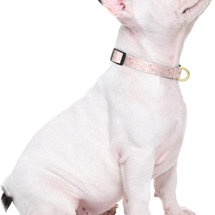 Rnivvi Dog Collar for Small Dogs, Cute Floral Heavy Duty Adjustable Puppy Collar with Quick Release Buckle for Girl & Female, Pet Accessories for Walking Running, XS Length 5/8" Width, Coral Pink