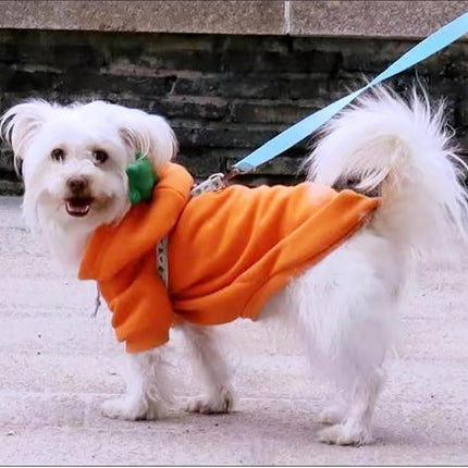 Happy Dog Hoodies - Funny Puppy Clothes for Small Dogs & Cats - Hooded Sweatshirt Coat - Winter & Easter Outfit - Carrot Costume for Chihuahua, Pomeranian, Yorkie (Orange, Small)