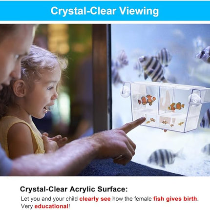 Fish Breeding Box Aquarium Holding Tank Transparent Fish Isolation Box Acclimation Hatchery Incubator Breeder for Betta Shrimp Clownfish Guppy