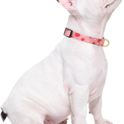 Rnivvi Dog Collar for Small Dogs, Cute Heavy Duty Adjustable Puppy Collar with Quick Release Buckle for Girl & Female, Pet Accessories for Walking Running, S Length 3/4" Width, Red Strawberries