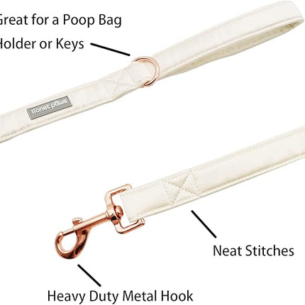 Lionet Paws Dog Leash - Off White Leash for Small Medium Large Dogs Matching Collar for Girl and Boy