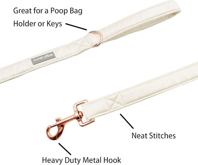 Lionet Paws Dog Leash - Off White Leash for Small Medium Large Dogs Matching Collar for Girl and Boy