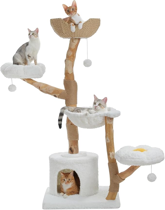 PAWZ Road Cat Tree for Indoor Cats Large Adults, 59 Inches Modern Cat Tower with Large Basket and Hammock, Natural Solid Wood, Luxury Condo & Dual Perches, Modern Cat Furniture for Big Cats, White