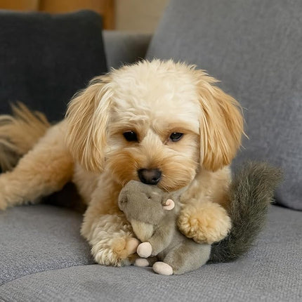 SPOT Woodland Collection Squirrel Dog Toy with Squeaker, Plush Grunting Tug Toy, Interactive Play for All Dog Breeds, 10"