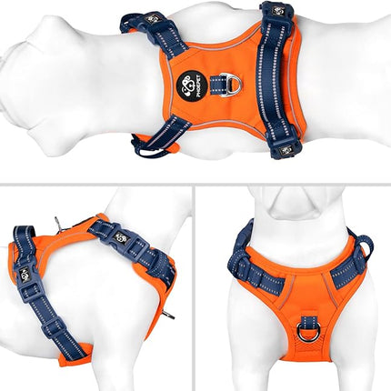 PHOEPET No Pull Dog Harness, Unique Colors Reflective Adjustable Dog Vest, with Soft Training Handle Metal Clips for Small Medium Large Dogs (Orange Base & Blue Straps,M)