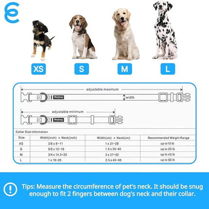 Blueberry Pet 7 Patterns Cherry Garden Grey Adjustable Dog Collar with Dainty Flowers, Large, Neck 18"-26"