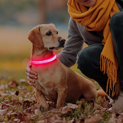 Light Up Dog Collar, USB Rechargeable Reflective LED Pet Collar Adjustable High Visibility Doggie Necklace Lights for Night Walking (Pink, Large)