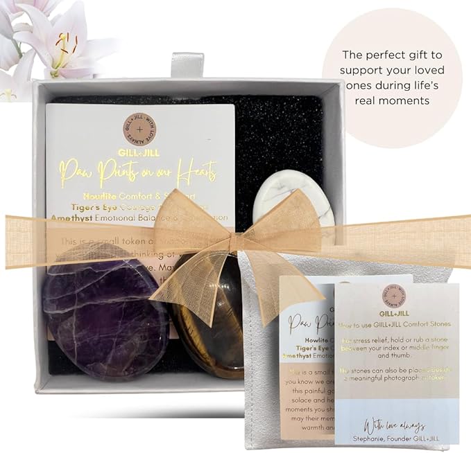 Paw Prints Comfort Worry Stones – Pet Loss Sympathy Gift for Loss of Dog – Dog Memorial Gifts for Loss of Dog with Amethyst, Tiger’s Eye & Howlite, Pet Memorial Gifts with Pouch & Message Card