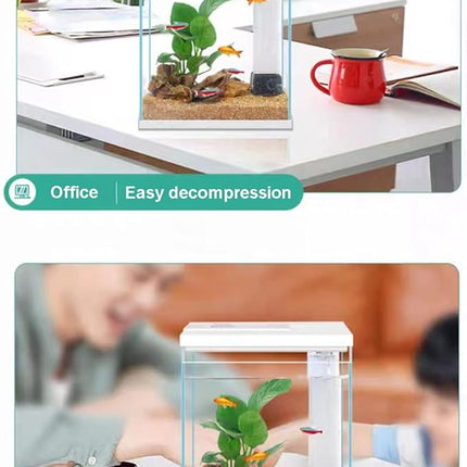 Betta Fish Tank, 2 Gallon Glass Aquarium Starter Kit, Small Fish Tank with Filter and Light.(White)