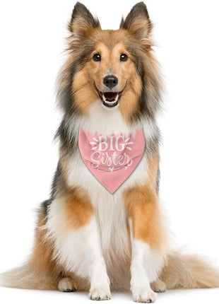 Big Sister Dog Bandana, Pink Pet Dog Scarf Accessories, Pet Triangle Scarf for Small Medium Dogs, Baby Announcement Dogs Bandana (M)