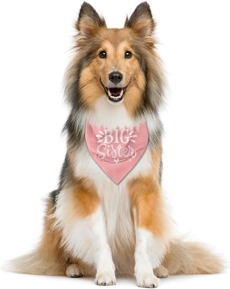 Big Sister Dog Bandana, Pink Pet Dog Scarf Accessories, Pet Triangle Scarf for Small Medium Dogs, Baby Announcement Dogs Bandana (M)