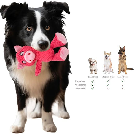 Jalousie Multipack Dog Squeaky Toys Strong Almost Indestructible, with Added Liner for Longer Play Dog Chew Toys (Medium to Large Breeds, 5 Pack Checks for Aggressive Chewers)