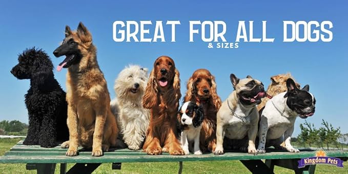 Chicken Jerky & Sweet Potato Dog Treats with Only 4 Ingredients and No Fillers, 3 Pound Bag