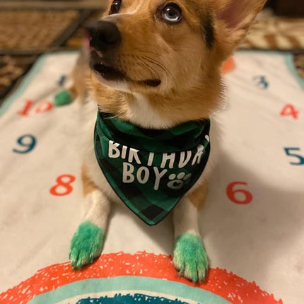 Birthday Boy Dog Bandana Green