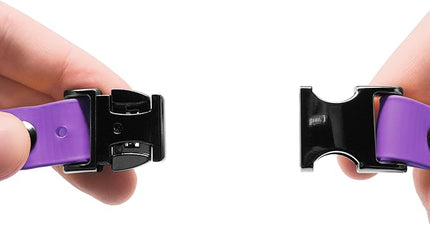 Educator Quick Snap Bungee Dog Collar, Biothane, Waterproof, Odorproof, Easy Connect and Disconnect Clasp and D Ring with Comfort Bungee Loop, Adjustable for Custom Fit, 3/4-Inch, Purple