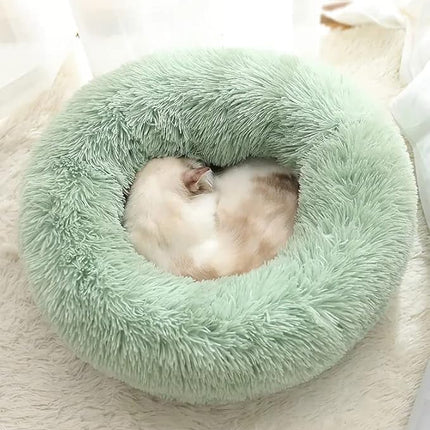 Cat Beds for Indoor Cats - Washable 20/24 inches, Anti-Anxiety Round Plush Faux Fur, Thick Bottom (Light Green, Medium) - Suitable for Small to Medium Dogs
