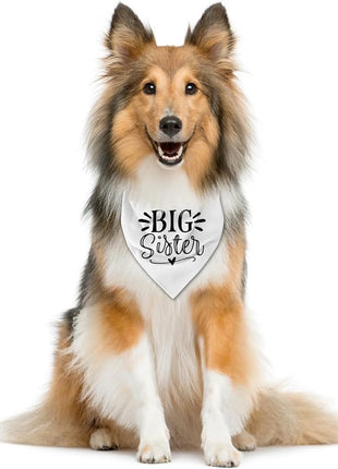 Big Sister Dog Bandana, White Dog Scarf Accessories, Pet Triangle Scarf, Pet Bandana for Small Medium Dogs, Baby Announcement Dogs Bandanas (M)