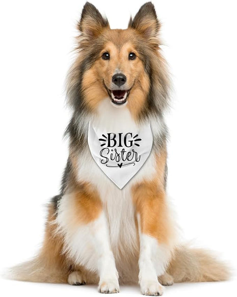 Big Sister Dog Bandana, White Dog Scarf Accessories, Pet Triangle Scarf, Pet Bandana for Small Medium Dogs, Baby Announcement Dogs Bandanas (M)