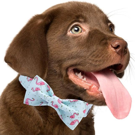 ARING PET Bowtie Dog Collar Adjustable Collars with Bow Tie for Dogs Small Medium Large