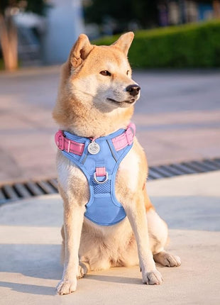 PHOEPET No Pull Dog Harness, Unique Colors Reflective Adjustable Dog Vest, with Soft Training Handle Metal Clips for Small Medium Large Dogs (Baby Blue Base & Pink Straps,L)