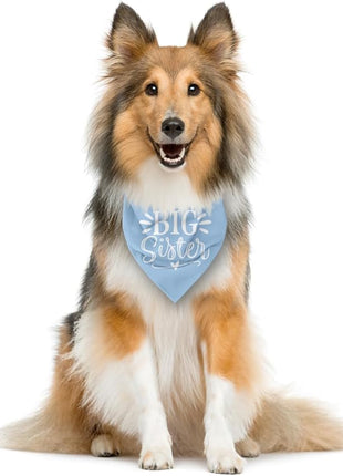 Big Sister Dog Bandanas, Light Blue Pet Scarf Accessories, Pet Triangle Scarf, Dog Bandana for Large Dogs, Baby Announcement Dogs Bandana (L)
