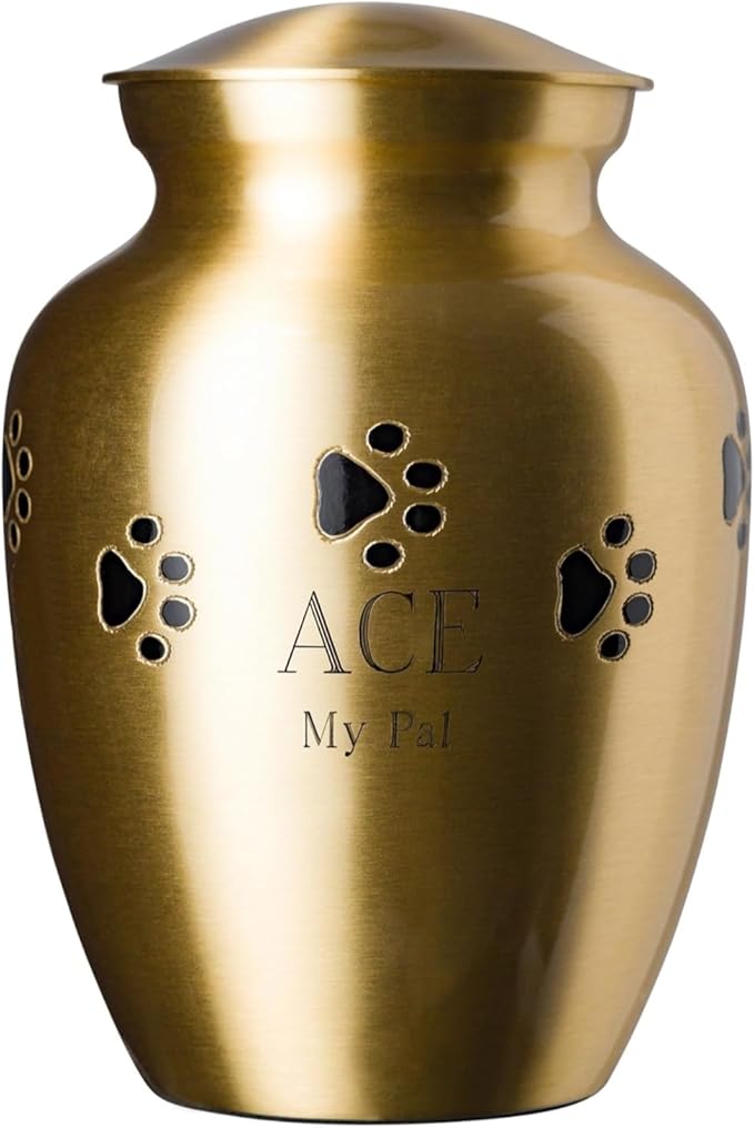 Ottillie Paws Elite Series Personalized Pet Urn for Dogs and Cats - Pet Memorial Urns with Custom Engraving (Brass, Horizontal, Ebony, Medium)