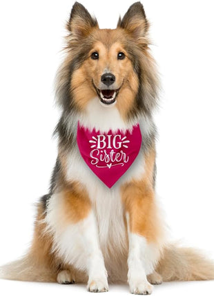 Big Sister Dog Bandana, Dog Bandana, Deep Pink Pet Dog Scarf Accessories, Pet Dog Triangle Scarf, Dog Bandana for Small Medium Dogs, Baby Announcement Dog Bandana, Dog Bandana Pet Scarf (M)